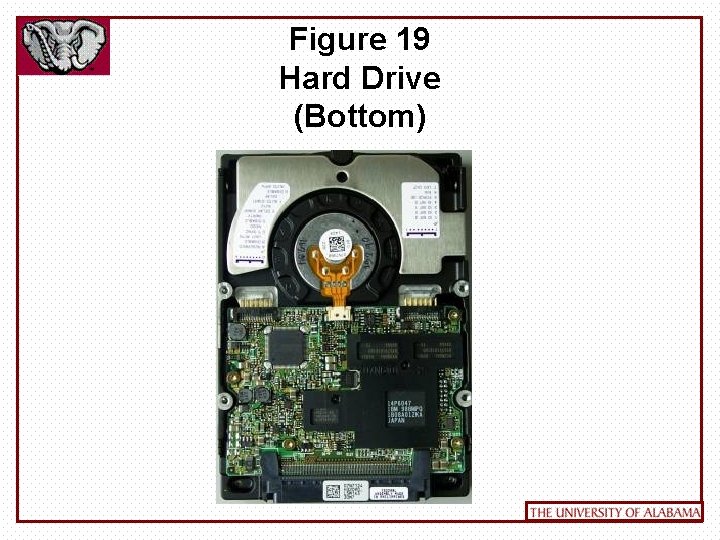 Figure 19 Hard Drive (Bottom) 