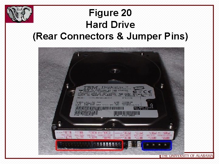 Figure 20 Hard Drive (Rear Connectors & Jumper Pins) 