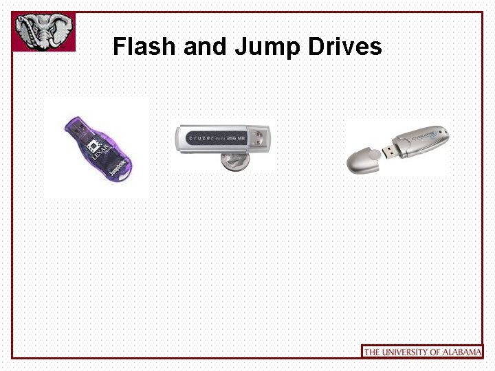 Flash and Jump Drives 