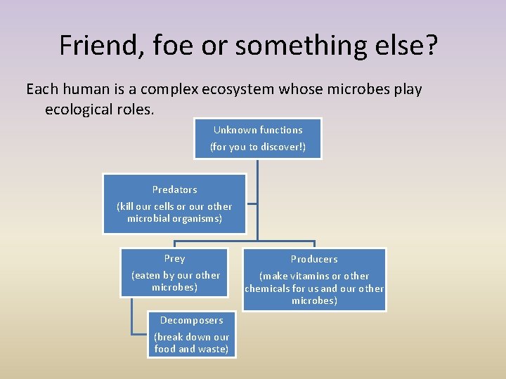 Friend, foe or something else? Each human is a complex ecosystem whose microbes play
