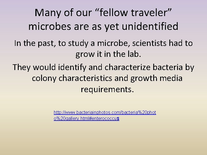 Many of our “fellow traveler” microbes are as yet unidentified In the past, to