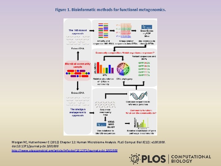 Figure 1. Bioinformatic methods for functional metagenomics. Morgan XC, Huttenhower C (2012) Chapter 12:
