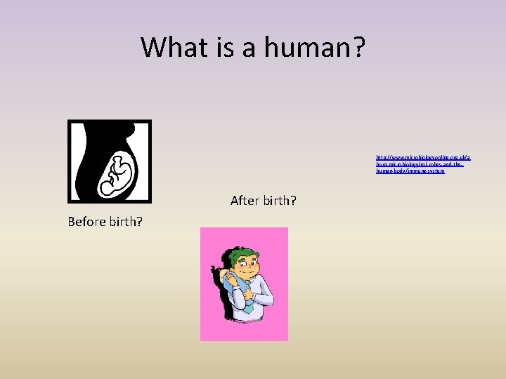 What is a human? http: //www. microbiologyonline. org. uk/a bout-microbiology/microbes-and-thehuman-body/immune-system After birth? Before birth?
