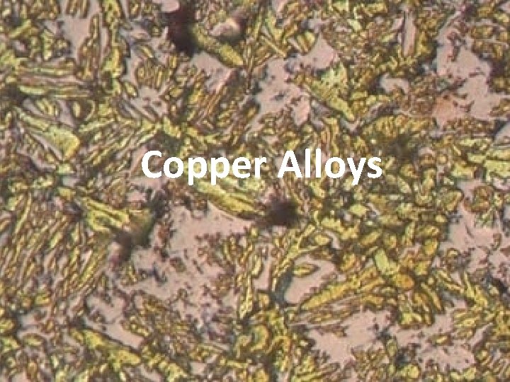 Copper Alloys 