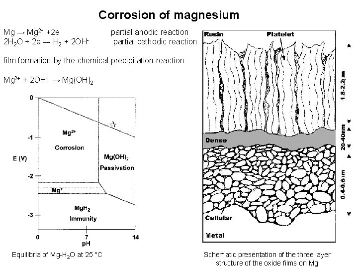 Corrosion of magnesium Mg → Mg 2+ +2 e 2 H 2 O +