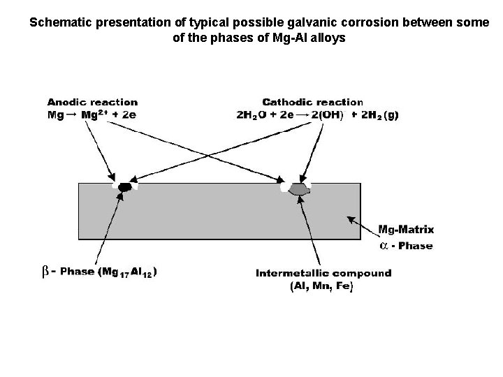 Schematic presentation of typical possible galvanic corrosion between some of the phases of Mg-Al