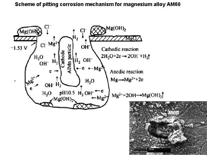 Scheme of pitting corrosion mechanism for magnesium alloy AM 60 