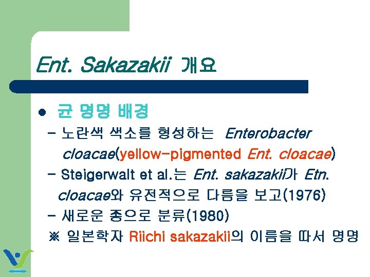 Ent. Sakazakii 개요 l 균 명명 배경 - 노란색 색소를 형성하는 Enterobacter cloacae(yellow-pigmented Ent.