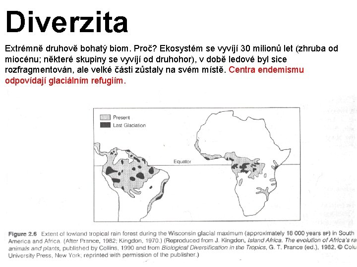 Diverzita Extrémně druhově bohatý biom. Proč? Ekosystém se vyvíjí 30 milionů let (zhruba od