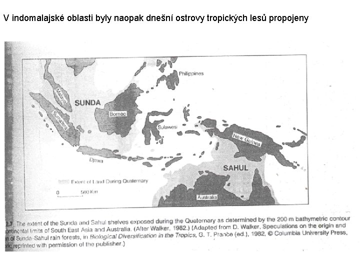 V indomalajské oblasti byly naopak dnešní ostrovy tropických lesů propojeny 