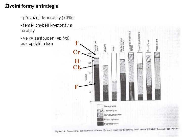 Životní formy a strategie - převažují fanerofyty (70%) - téměř chybějí kryptofyty a terofyty