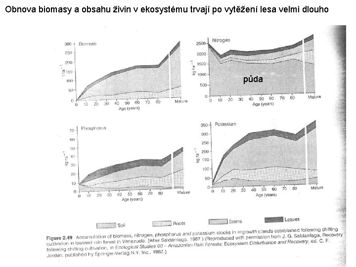 Obnova biomasy a obsahu živin v ekosystému trvají po vytěžení lesa velmi dlouho půda