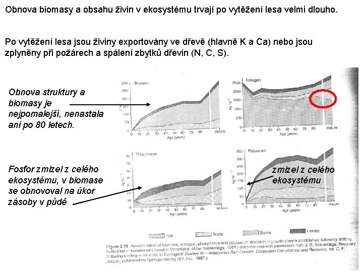 Obnova biomasy a obsahu živin v ekosystému trvají po vytěžení lesa velmi dlouho. Po