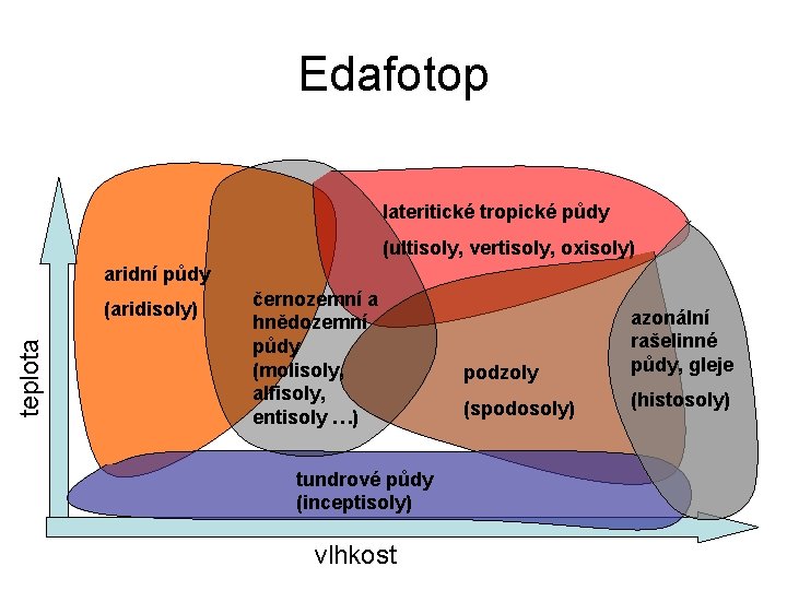 Edafotop lateritické tropické půdy (ultisoly, vertisoly, oxisoly) aridní půdy teplota (aridisoly) černozemní a hnědozemní