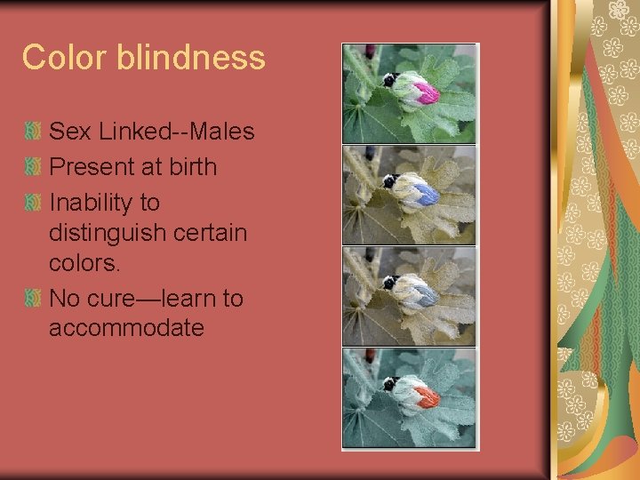 Color blindness Sex Linked--Males Present at birth Inability to distinguish certain colors. No cure—learn