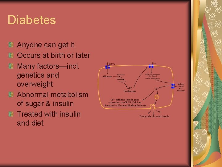 Diabetes Anyone can get it Occurs at birth or later Many factors—incl. genetics and