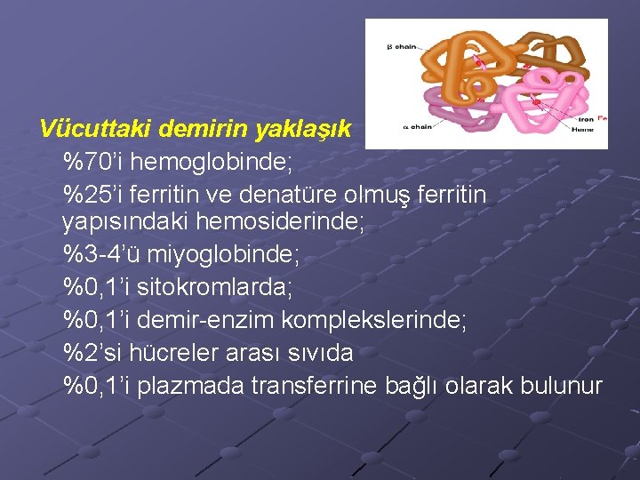 Vücuttaki demirin yaklaşık %70’i hemoglobinde; %25’i ferritin ve denatüre olmuş ferritin yapısındaki hemosiderinde; %3