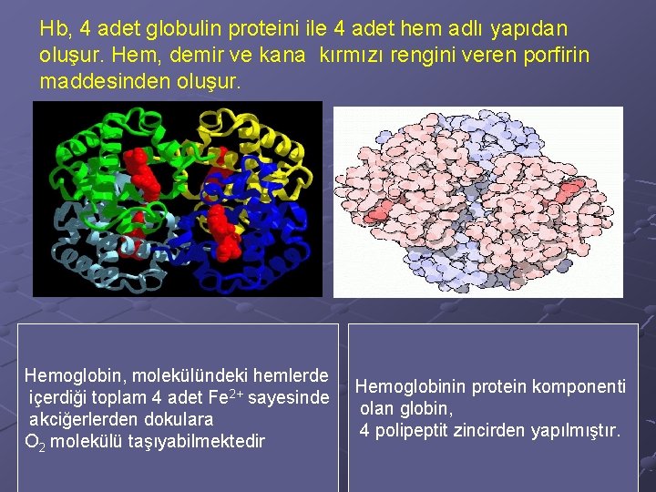 Hb, 4 adet globulin proteini ile 4 adet hem adlı yapıdan oluşur. Hem, demir