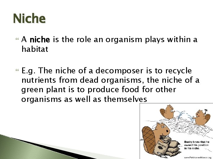 Niche A niche is the role an organism plays within a habitat E. g.