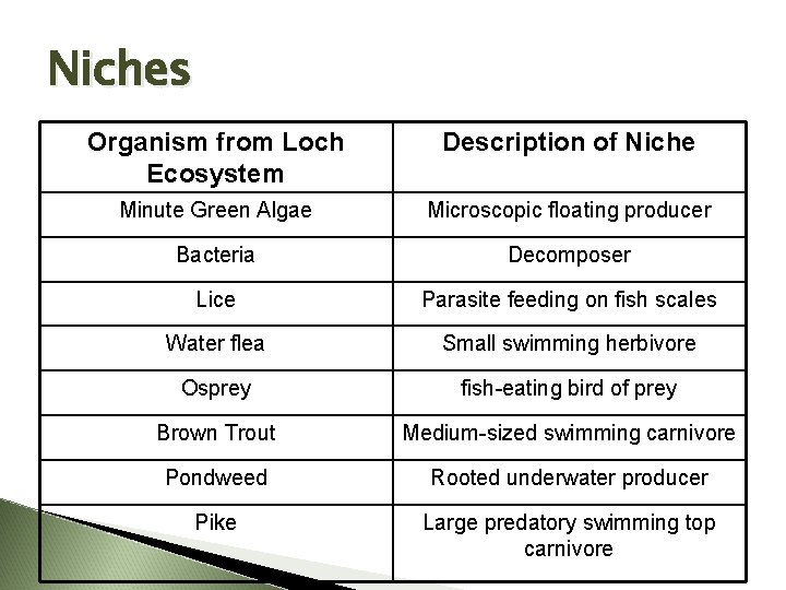 Niches Organism from Loch Ecosystem Description of Niche Minute Green Algae Microscopic floating producer