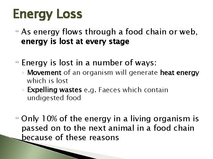 Energy Loss As energy flows through a food chain or web, energy is lost