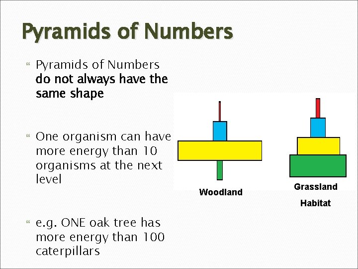 Pyramids of Numbers do not always have the same shape One organism can have