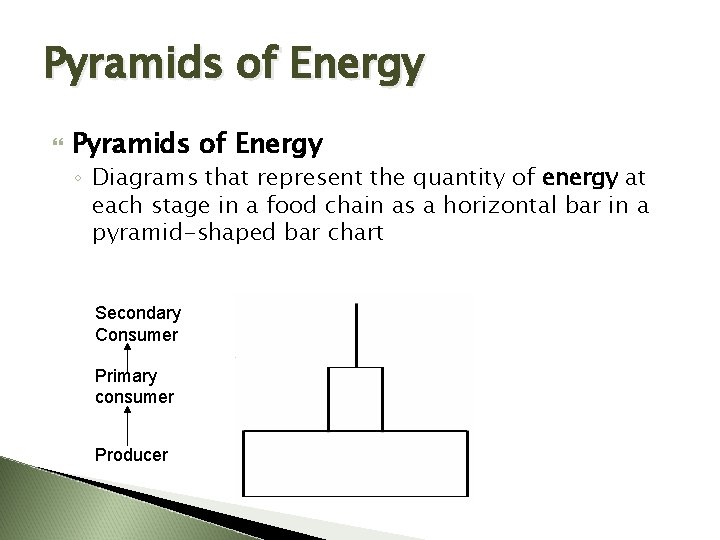 Pyramids of Energy ◦ Diagrams that represent the quantity of energy at each stage