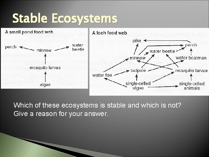 Stable Ecosystems Which of these ecosystems is stable and which is not? Give a