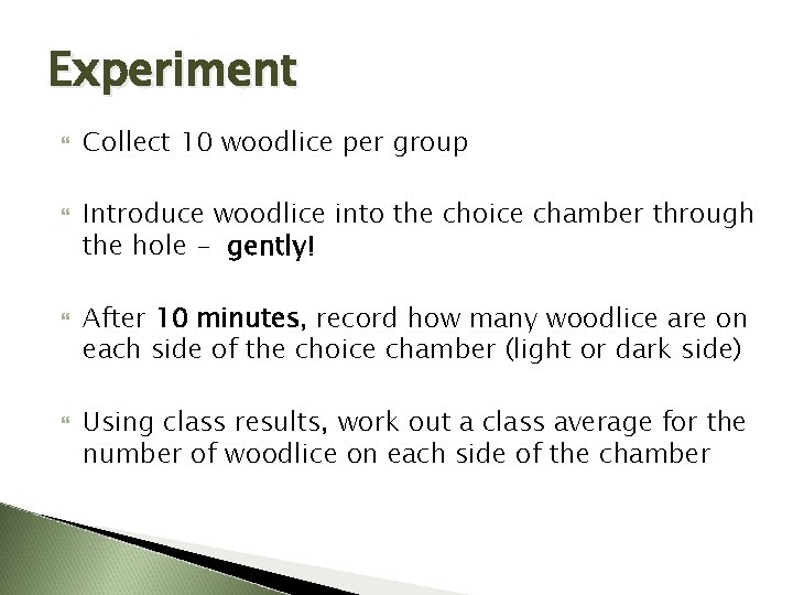 Experiment Collect 10 woodlice per group Introduce woodlice into the choice chamber through the
