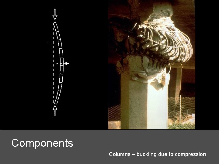 Components Columns – buckling due to compression 
