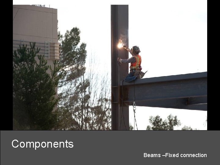 Components Beams –Fixed connection 