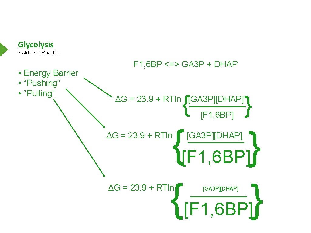 Glycolysis • Aldolase Reaction • Energy Barrier • “Pushing” • “Pulling” F 1, 6