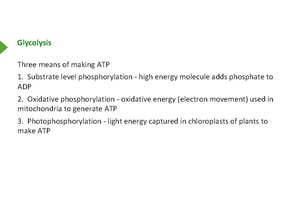 Glycolysis Three means of making ATP 1. Substrate level phosphorylation - high energy molecule