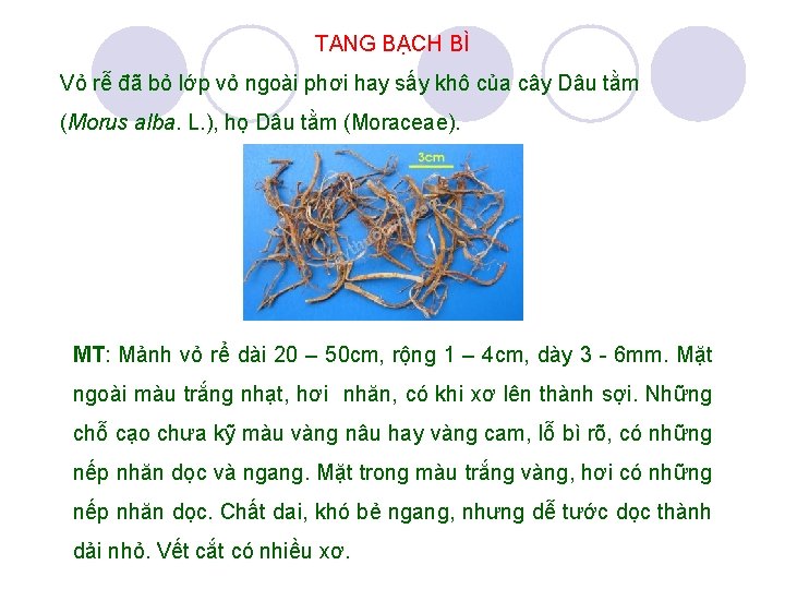 TANG BẠCH BÌ Vỏ rễ đã bỏ lớp vỏ ngoài phơi hay sấy khô