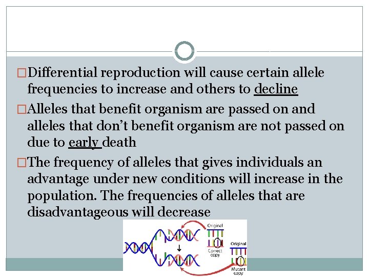 �Differential reproduction will cause certain allele frequencies to increase and others to decline �Alleles