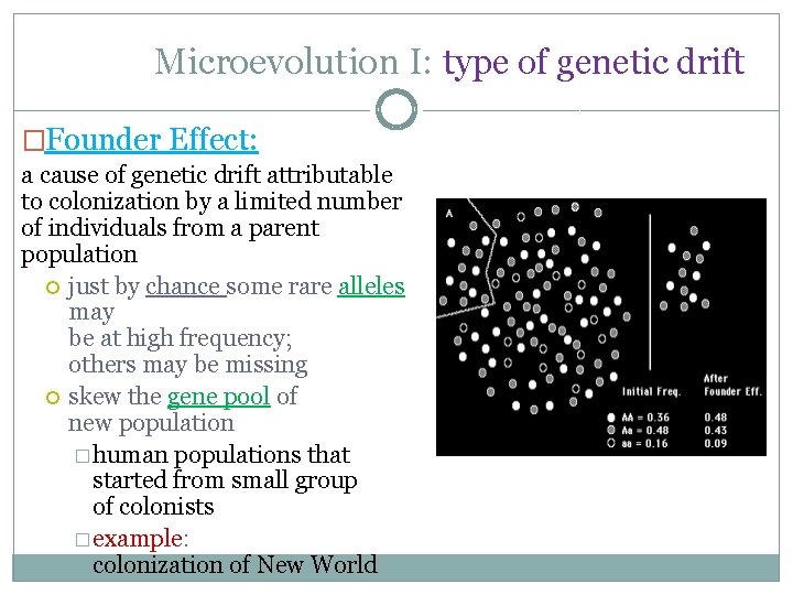 Microevolution I: type of genetic drift �Founder Effect: a cause of genetic drift attributable