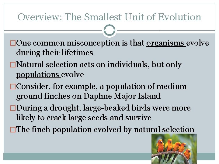 Overview: The Smallest Unit of Evolution �One common misconception is that organisms evolve during