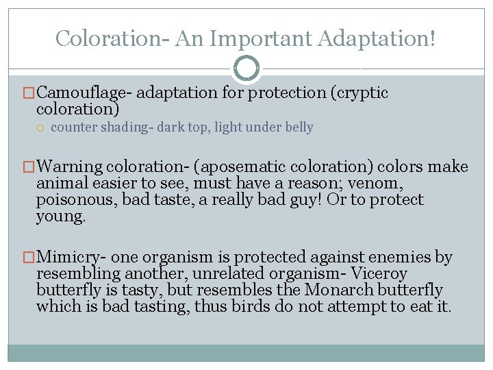 Coloration- An Important Adaptation! �Camouflage- adaptation for protection (cryptic coloration) counter shading- dark top,