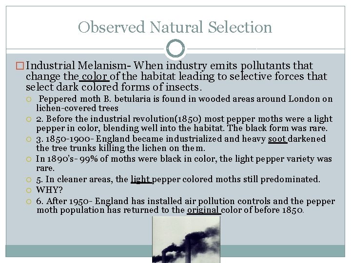 Observed Natural Selection � Industrial Melanism- When industry emits pollutants that change the color