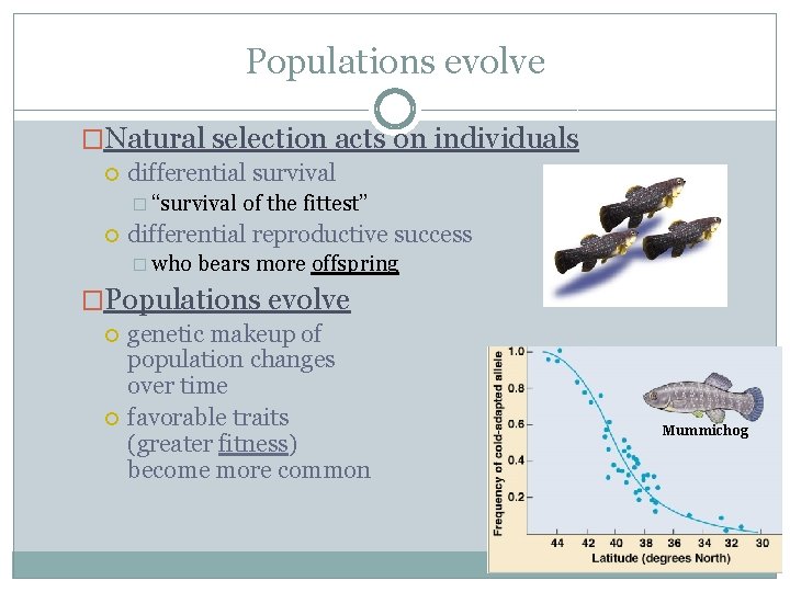 Populations evolve �Natural selection acts on individuals differential survival � “survival of the fittest”