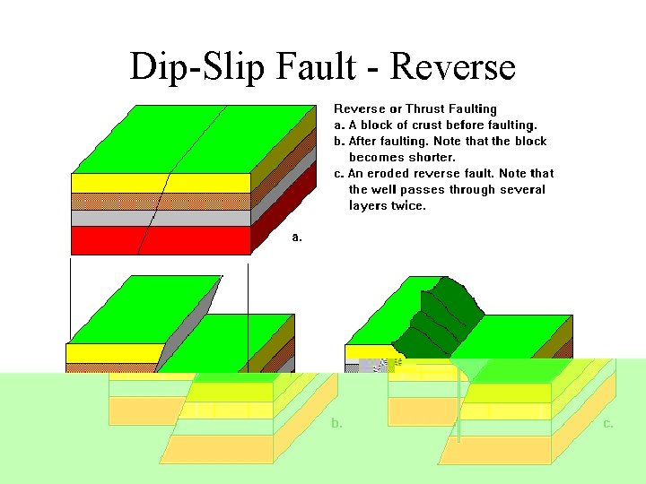 Dip-Slip Fault - Reverse 