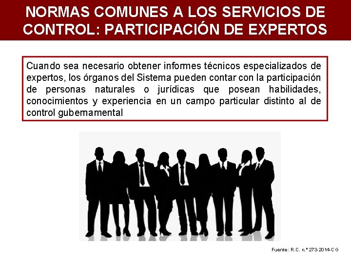 NORMAS COMUNES A LOS SERVICIOS DE CONTROL: PARTICIPACIÓN DE EXPERTOS Cuando sea necesario obtener