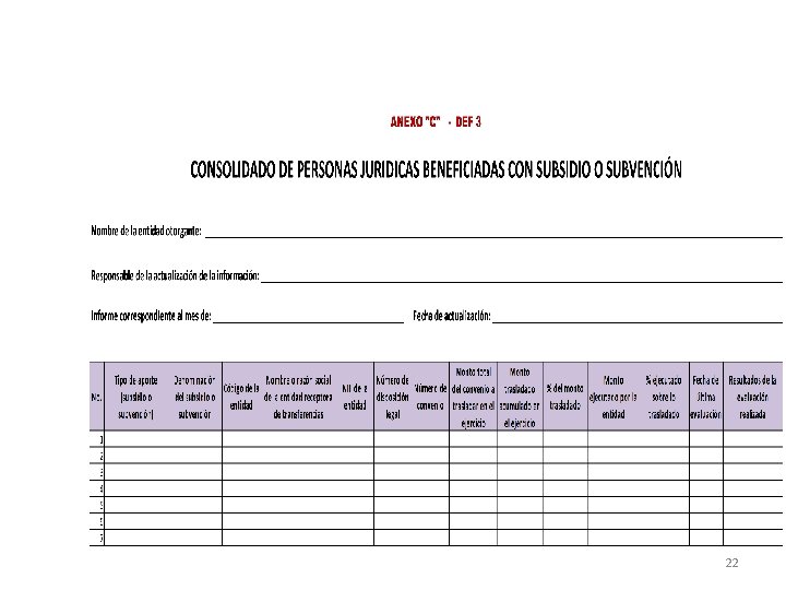 DESCRIPCIÓN DEL FORMATO 22 