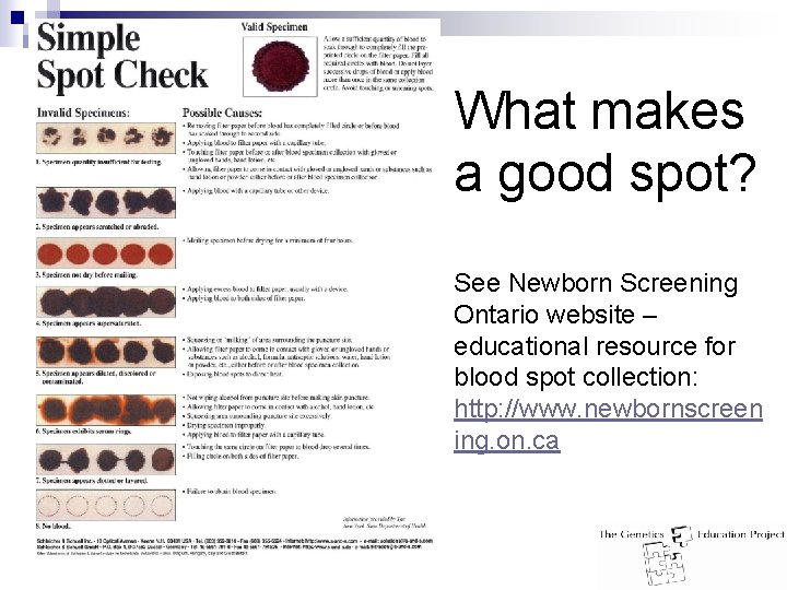 What makes a good spot? See Newborn Screening Ontario website – educational resource for