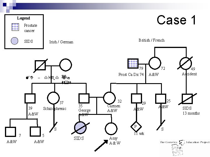 Case 1 Legend Prostate cancer SIDS MI British / French Irish / German –