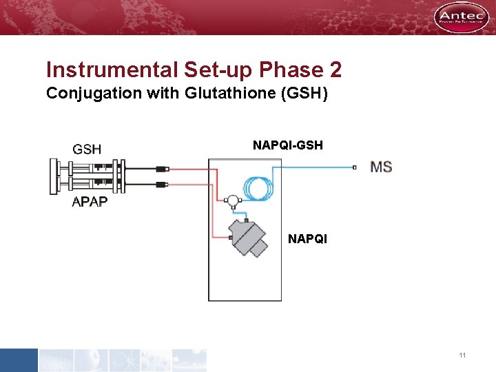 Instrumental Set-up Phase 2 Conjugation with Glutathione (GSH) NAPQI-GSH NAPQI 11 