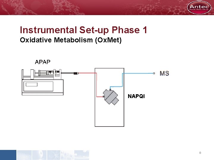 Instrumental Set-up Phase 1 Oxidative Metabolism (Ox. Met) NAPQI 8 