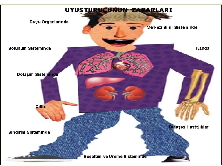 UYUŞTURUCUNUN ZARARLARI Duyu Organlarında Merkezi Sinir Sisteminde Solunum Sisteminde Kanda Dolaşım Sisteminde Ciltte Bulaşıcı