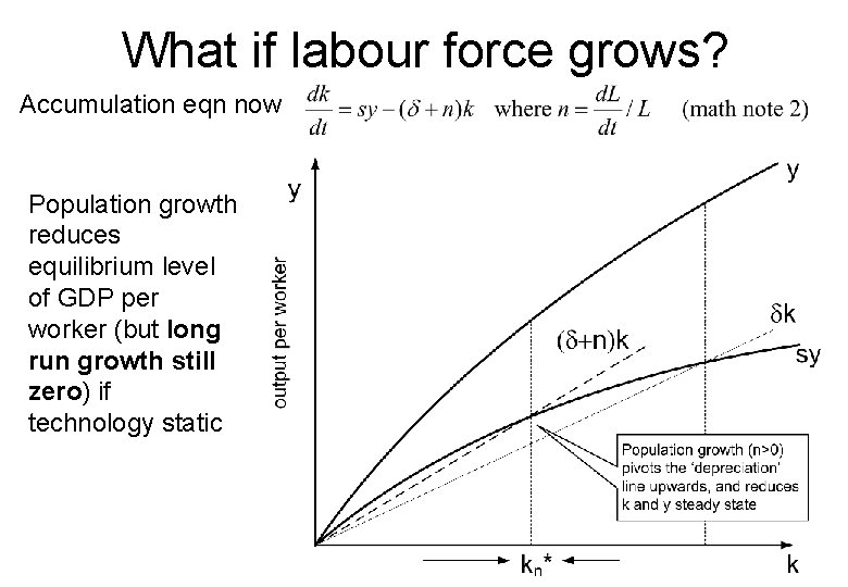 What if labour force grows? Accumulation eqn now Population growth reduces equilibrium level of