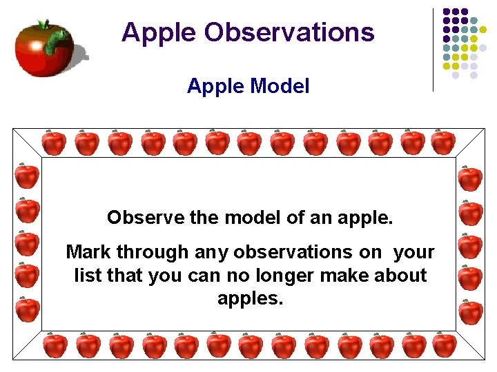 Apple Observations Apple Model Observe the model of an apple. Mark through any observations